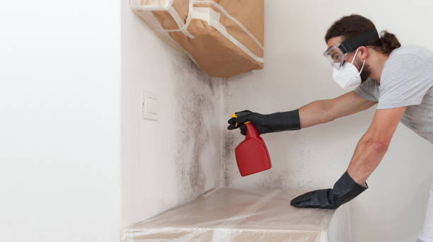 Professional Bathroom Mold Removal technician working in Spring Grove, IL