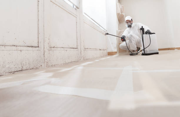 24/7 Emergency Bathroom Mold Removal experts in Spring Grove, IL