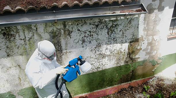 Top rated local Bathroom Mold Removal specialists in Spring Grove, IL